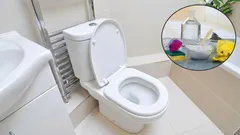 Rozlúčte sa s nepríjemnými zápachmi z kanalizácie a vodovodného potrubia v toalete: ideálne riešenie pre bezchybnú kúpeľňu.