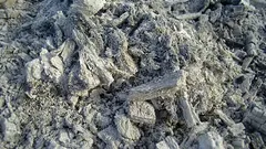 Prečo nesprávne aplikujeme popol na záhrade: 3 chyby pri aplikácii, ktoré nemajú rady rastliny – a ani pôda. A kedy nie je užitočný