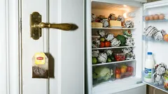 Načo vešať čajový vrecúšok na dvere a guľôčky z novín dávať do chladničky: 10 trikov šetrných ľudí
