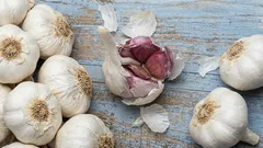 Nevyhadzujte ich: prečo sa odporúča pridávať cesnakovú šupku do pôdy pre rastliny a načo je užitočná.