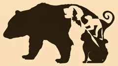 Optický klam s piatimi zvieratami: ktoré vidíte ako prvé a čo to vypovedá o vašej osobnosti?