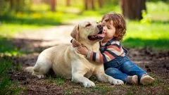 Čo plemeno psa hovorí o charaktere majiteľa