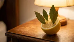 Položte do svojej izby citrón s bobkovými listami. Na druhý deň ráno si budete sami sebe vďační.