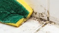 Tento mliečny nápoj okamžite odstraňuje škvrny od plesne.