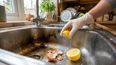 Prečo som prestala vyhadzovať vaječné škrupiny – a kde skutočne fungujú