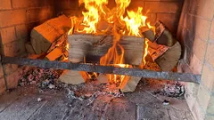 Aké drevo sa nesmie spaľovať v domácnosti: tieto druhy nezahrejú