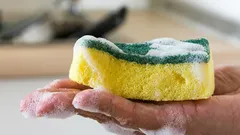 Jednoduchý spôsob, ako dezinfikovať špongiu na umývanie riadu a zničiť baktérie: budete potrebovať len dve ingrediencie.