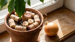 Zbavil som sa múch v cibuli a kvetoch pomocou bežnej zátky od vína (a odporúčam vám urobiť to isté – funguje to!).